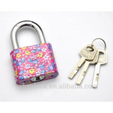 Cor pintada Mecanismo do disco padlock de alta qualidade